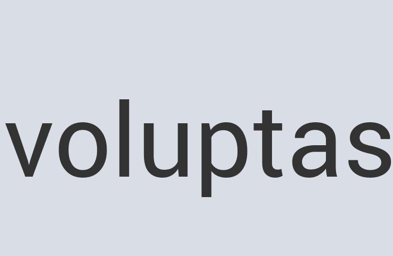 Aerodynamic Copper Zizzy